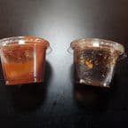 Best Spicy Gochujang Sauce in Portland, OR